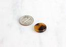 4 Tortoise Bead Charm 15mm, Vintage Tortoise Shell Drop Bead Plastic, Flat Coin Bead Tortoise Pendant, Tortoise Shell Jewelry, CN003-15-TT