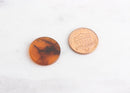 2 Tortoise Shell Disc 20mm Pendant Coin Brown Tortoiseshell Charm Amber Beads Tortoise Pendant Lucite Beads Flat Round, CN001-20-AM