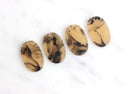 4 Blonde Tortoise Shell Charms, 24 x 17 mm Flat Oval Disc One Hole, Tortoise Acetate Disc Gold Yellow Black Marble Bead Dog Tag, VG007-24-YM