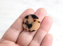 4 Desert Tortoise Shell Flat Circles Discs, Plastic Discs Undrilled Beads Desert Turtle Shell Cellulose Acetate Acrylic Pendant LAK009-25-BT