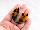 Tortoiseshell Earring Findings, 1 pair, Large Circle Earring Hoops, Chunky Tortoise Shell Hoops Acetate Earrings Jewelry Supply EAR014-43-TT