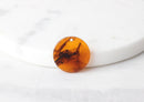 2 Tortoise Shell Disc 20mm Pendant Coin Brown Tortoiseshell Charm Amber Beads Tortoise Pendant Lucite Beads Flat Round, CN001-20-AM
