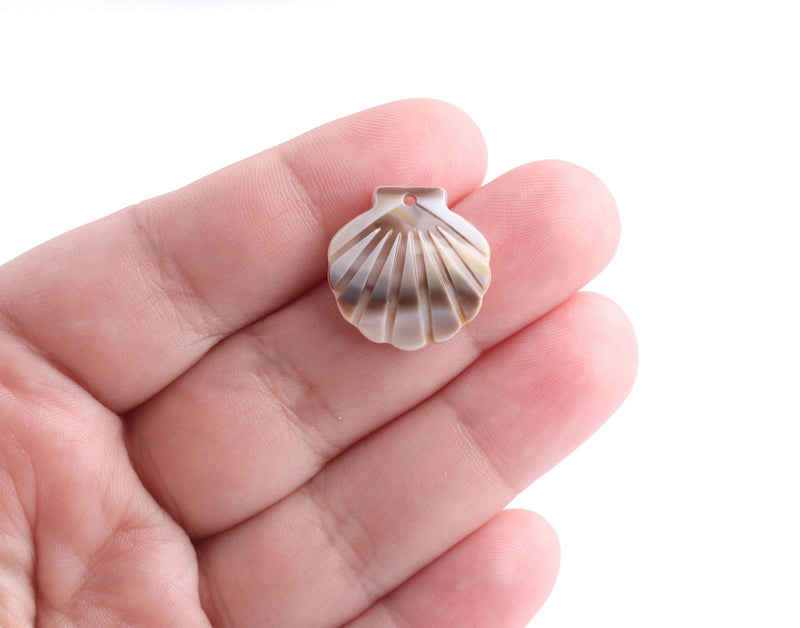 4 Tiny Seashell Charms, Acrylic Scallop Shell Beads, Faux Sunrise Shell, Small Sea Shell Findings, Plastic Clam Shell Charms, XY024-19-BR06