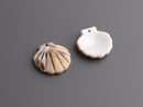 4 Tiny Seashell Charms, Acrylic Scallop Shell Beads, Faux Sunrise Shell, Small Sea Shell Findings, Plastic Clam Shell Charms, XY024-19-BR06