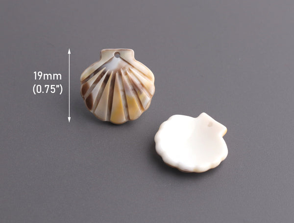 4 Tiny Seashell Charms, Acrylic Scallop Shell Beads, Faux Sunrise Shell, Small Sea Shell Findings, Plastic Clam Shell Charms, XY024-19-BR06